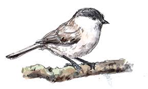Left Image