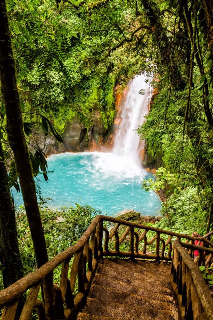 Rainforest trail in Manuel Antonio