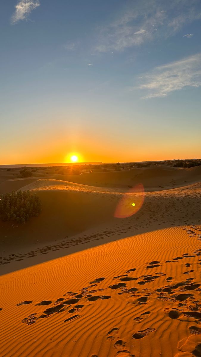 Sahara Desert