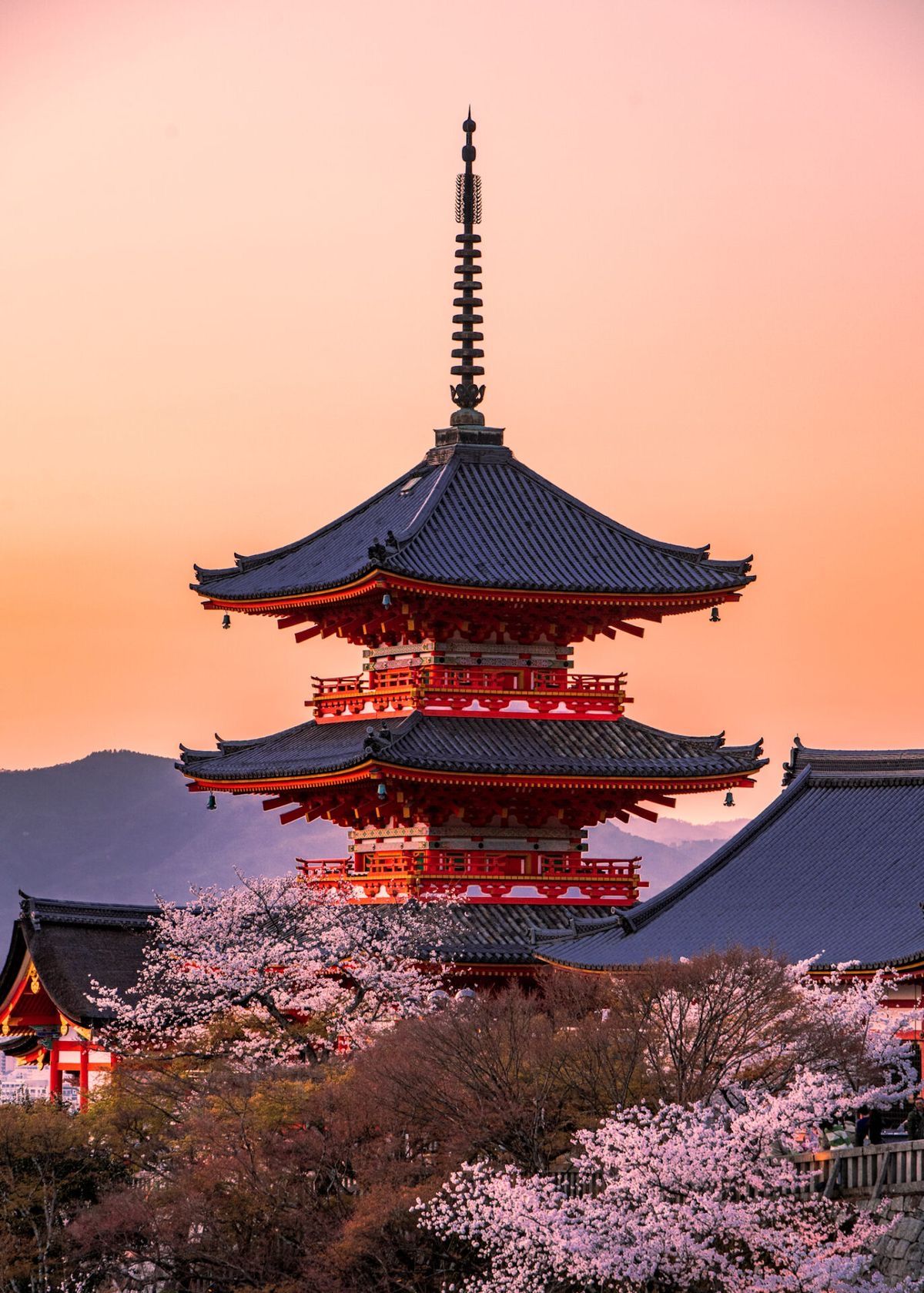 Senso-ji Temple in Tokyo