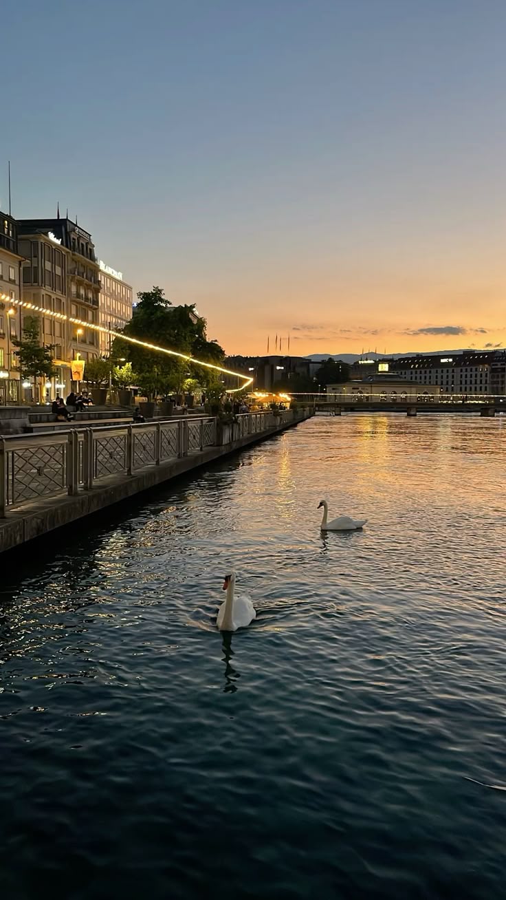 Geneva