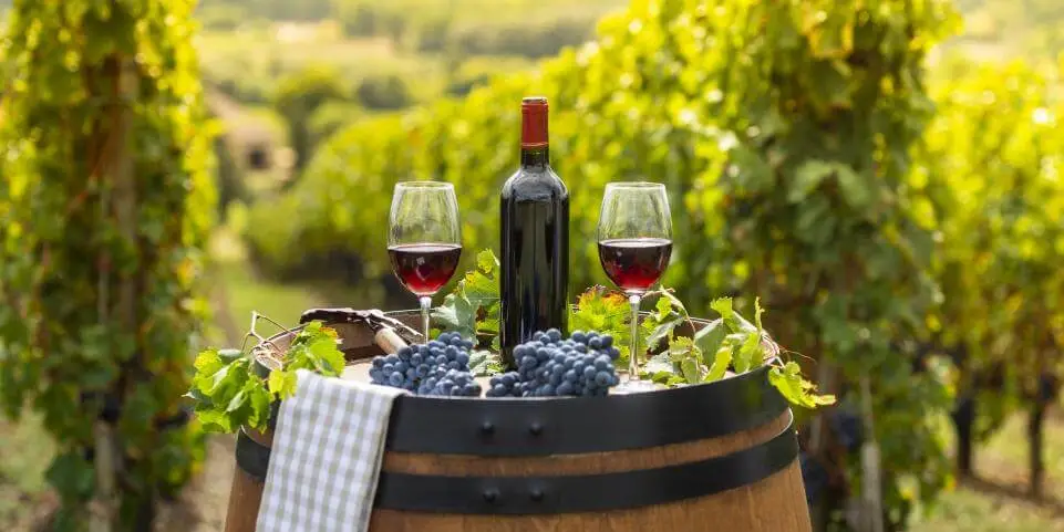 Wine Culture Bordeaux